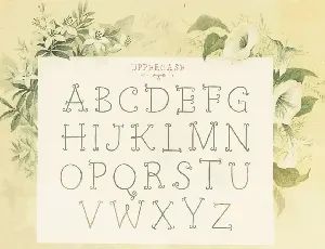 Petit Jardin font