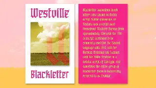 Westville font