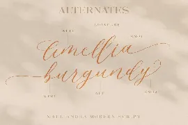 Malliandra Script font