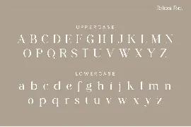 Reliora Modern Serif Font