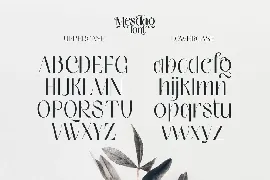 Mesdag Font