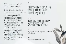 Mesdag Font