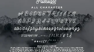 Folkestone - Modern Vintage Script Font