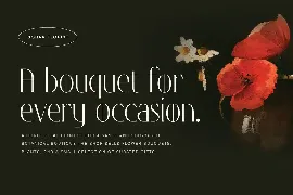 Sequeltoz - Classic and Luxury Condensed Serif font