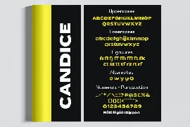 Candice - Heavy Bold Expanded Display Game Sans font