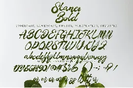 Skaner Bold font