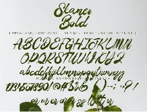 Skaner Bold font