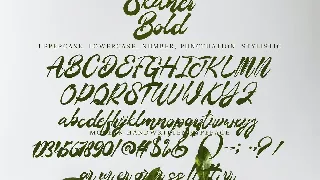 Skaner Bold font