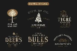 Gold Coast - Vintage Serif Font Family