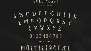 Gold Coast - Vintage Serif Font Family