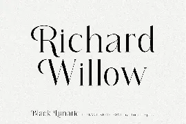 Black Lunatic | Elegant Serif Font