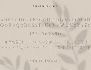 Vendeur - Elegant Serif Font