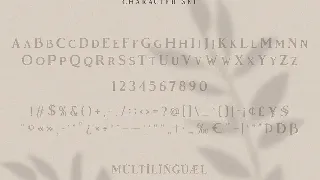 Vendeur - Elegant Serif Font