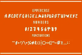 Cute insects font