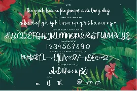 Bilesa | New Style Script font