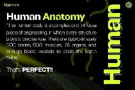 Biggan Pro font