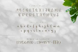 Calligraphy Font