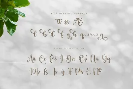 Calligraphy Font