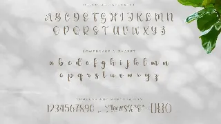 Calligraphy Font