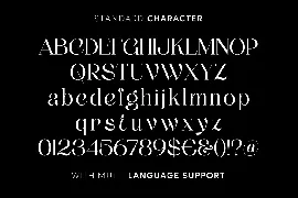 Thenie Dawson - Stylish Serif Font