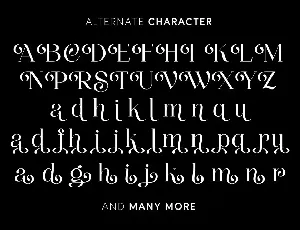 Thenie Dawson - Stylish Serif Font