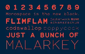 Alma Mono font