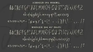 Schrader SVG Brush Font