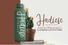 Gatshlie Modern Sript font