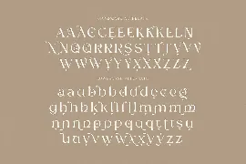 Ligakare Modern Serif font