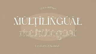 Ligakare Modern Serif font