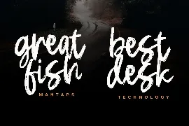 Seqopr - The Brush Font