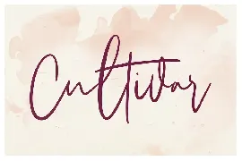 Sarvati Script Font