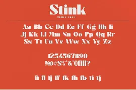 Stink - Bold Serif Font