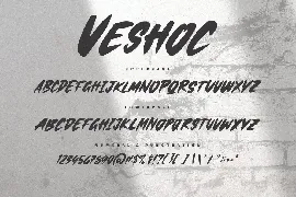 Veshoc - The Handbrushed Font