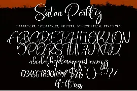 Saton Perttiz font