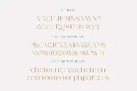 Weaser Modern Serif font