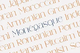 Weaser Modern Serif font