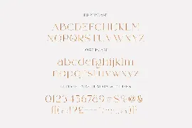 Weaser Modern Serif font