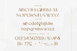 Rastegar Modern Sans font