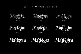 Madegra Serif (9 Weight Font Styles)