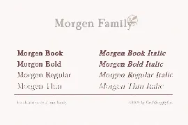 Morgen - Handwritten Serif Font Family