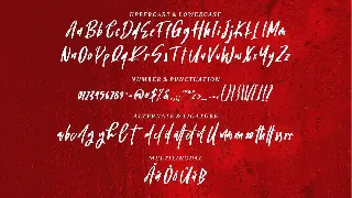 Patila | A Modern Handwritten Font