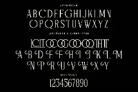 Figurlce Display Serif Font