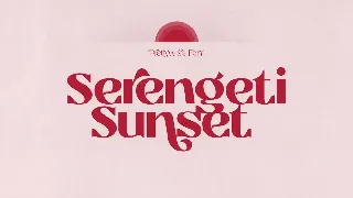 Prettywise - Modern Vintage Serif font