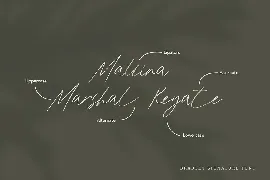 Signature Script Font