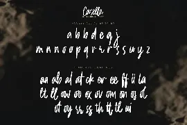 Cassella - Quick Brush Font