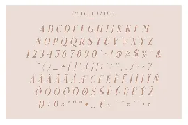 Qualey - Elegant Serif Font