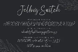 Jellovy Switch Script Font