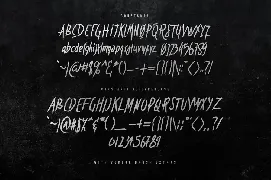 Constanta Brush Font Swashes