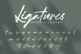 Black Signatures - Signature Font